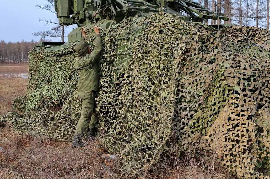 Сетка Лес Купить